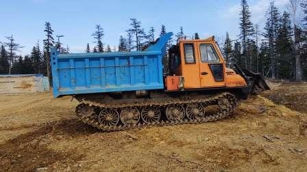 Трелевочная гусеничная машина ТЛ-5АЛМ-01 - фото - 4